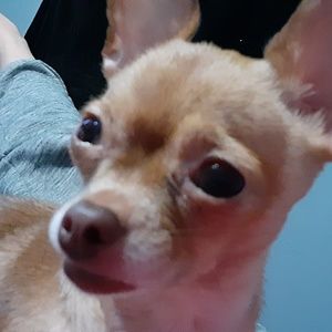 Meet your Posher, Yvette